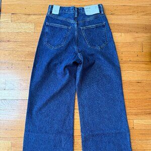 Agolde Dame Jeans High Rise Wide Leg (23) Enamour